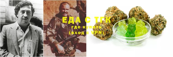 хмурый Абаза