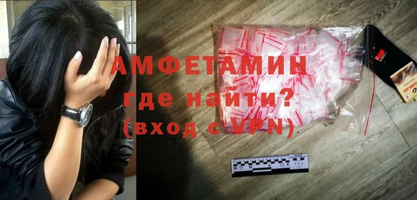 хмурый Абаза