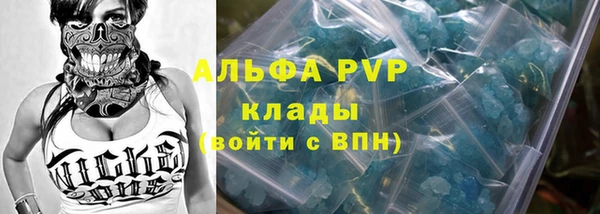 хмурый Абаза