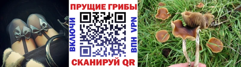 как найти закладки  Балаково  mega ссылка  Псилоцибиновые грибы Psilocybe 